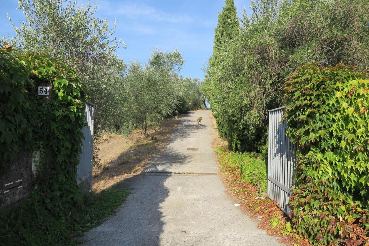 Banks 1 Βίλα Vezzano Ligure Εξωτερικό φωτογραφία